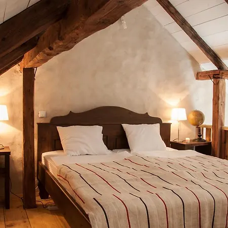 Guest house Transylvania Cincsor