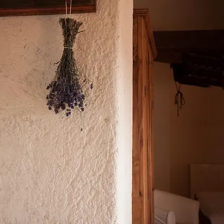 Transylvania Guest house *