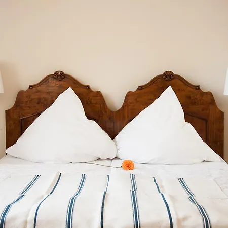 Transylvania Guest house *