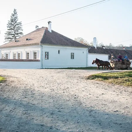 Guest house Transylvania Cincsor